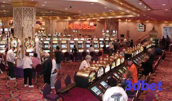 3dbet Live Sportsbook Markets at Your Fingertips